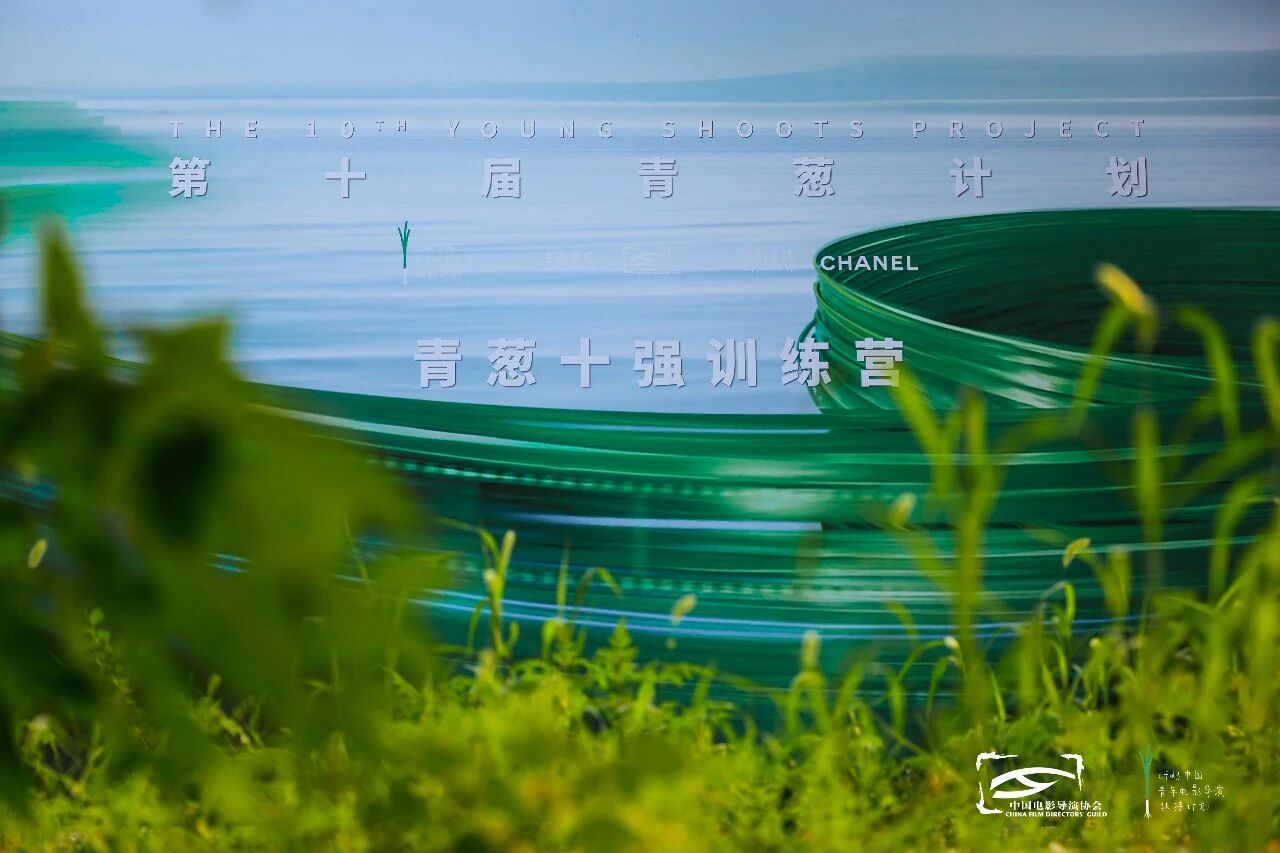 微信图片_2026-07-12_173538_432.jpg